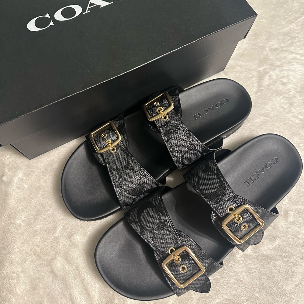 Coach Allanah Signiature Sanals, Black, Size 9.5